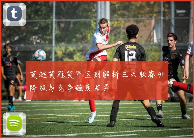 英超英冠英甲区别解析三大联赛升降级与竞争强度差异