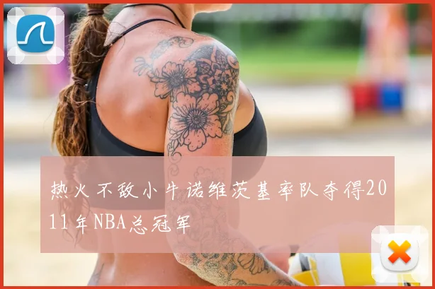 热火不敌小牛诺维茨基率队夺得2011年NBA总冠军