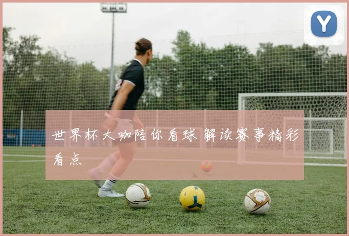 世界杯大咖陪你看球 解读赛事精彩看点