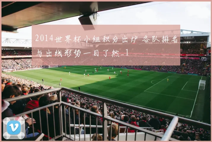 2014世界杯小组积分出炉 各队排名与出线形势一目了然_1