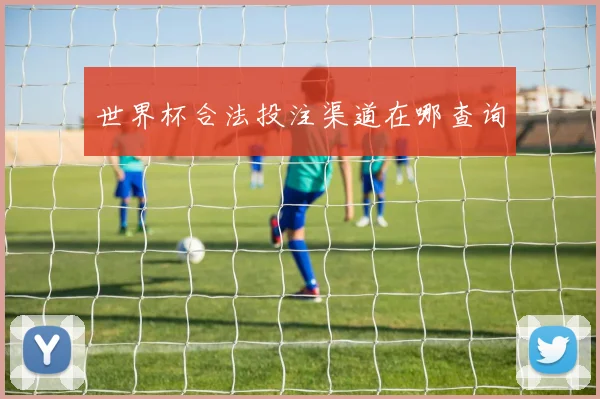 世界杯合法投注渠道在哪查询