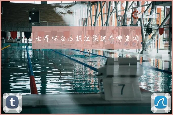 世界杯合法投注渠道在哪查询