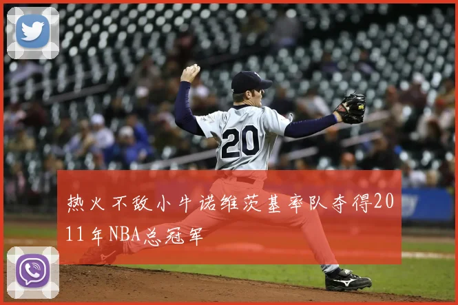 热火不敌小牛诺维茨基率队夺得2011年NBA总冠军